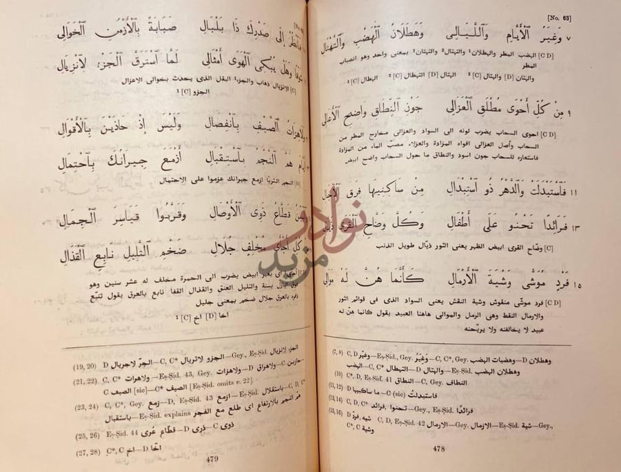 صفحة داخلية كتاب ديوان شعر ذي الرمة نص شعري مشروح