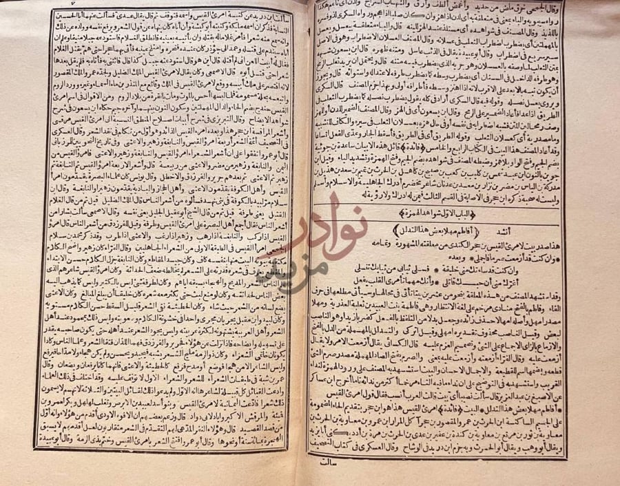 صفحة داخلية كتاب شرح شواهد المغني الباب الأول شواهد