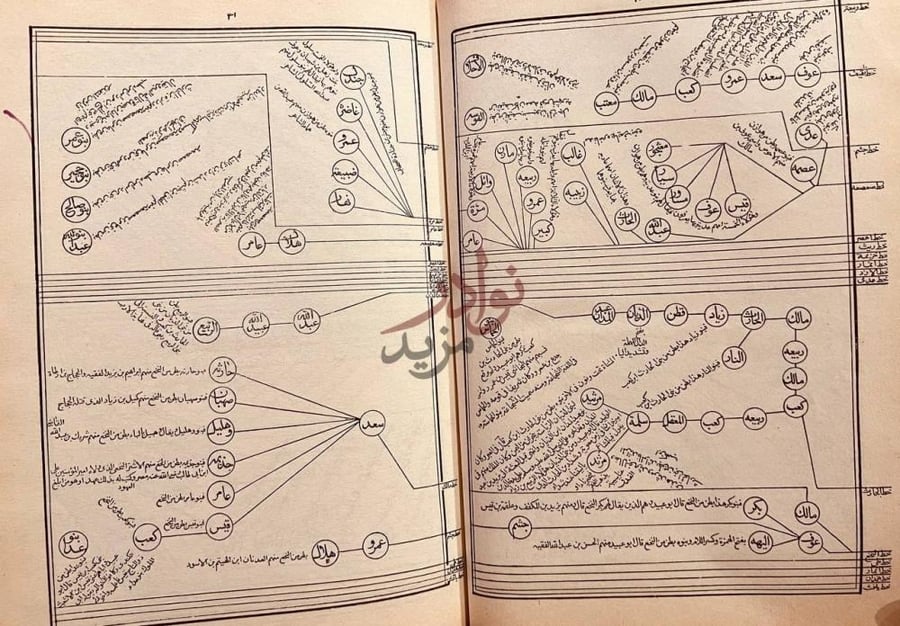 صفحة داخلية كتاب سبائك الذهب في معرفة قبائل العرب