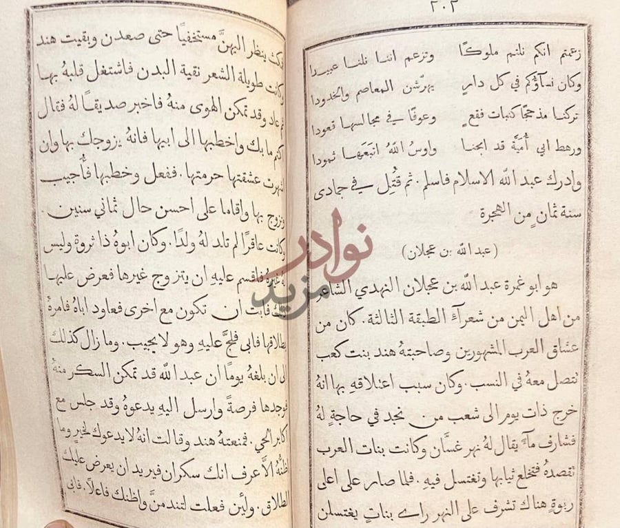 صفحة داخلية كتاب روضة الادب في طبقات شعراء العرب