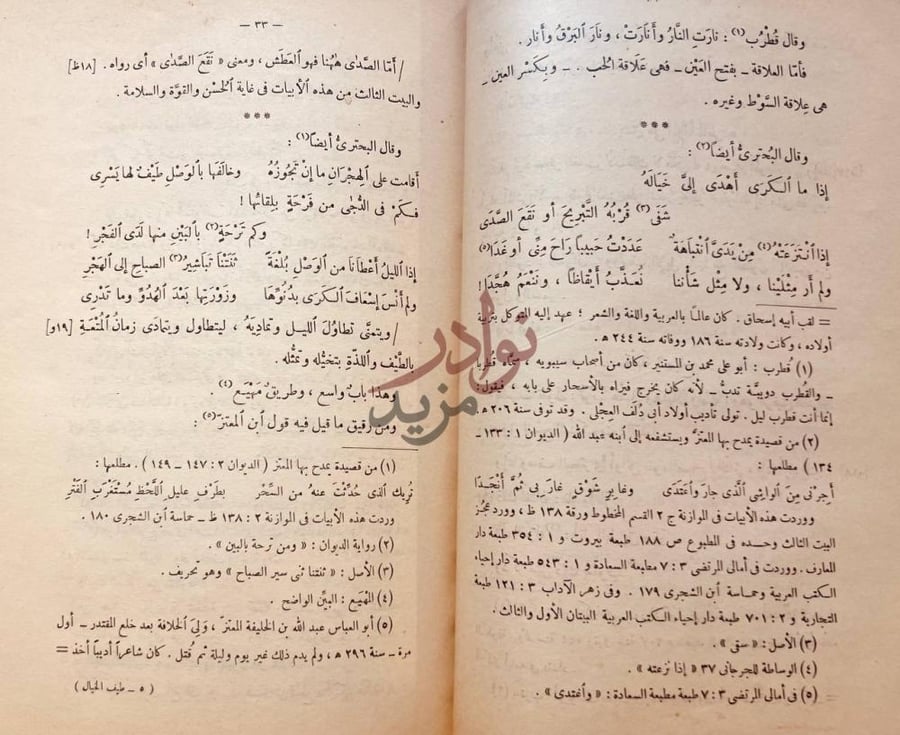 صفحة داخلية كتاب طيف الخيال نص شعري مع حواشي