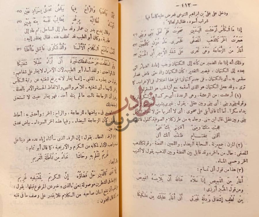 صفحة داخلية كتاب شرح ديوان المتنبي شرح أبيات المتنبي