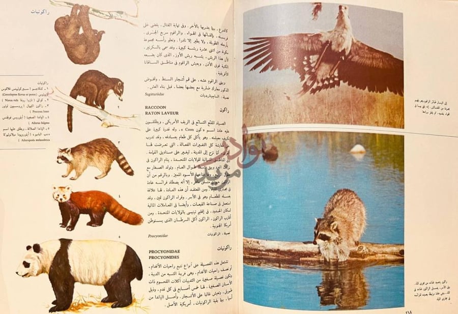 صفحة داخلية كتاب موسوعة الغد علم الحيوان