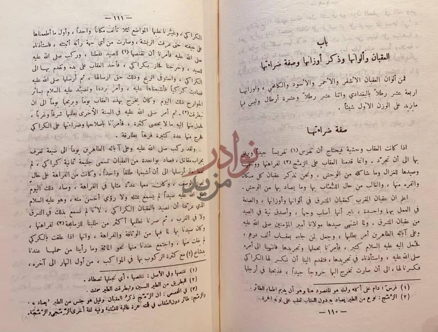 فصل كتاب البيزرة او البزدرة باب العقاب وألوانها
