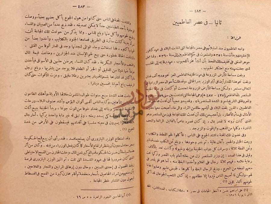 صفحة داخلية كتاب مصر في العصور الوسطى من الفتح العربي الي