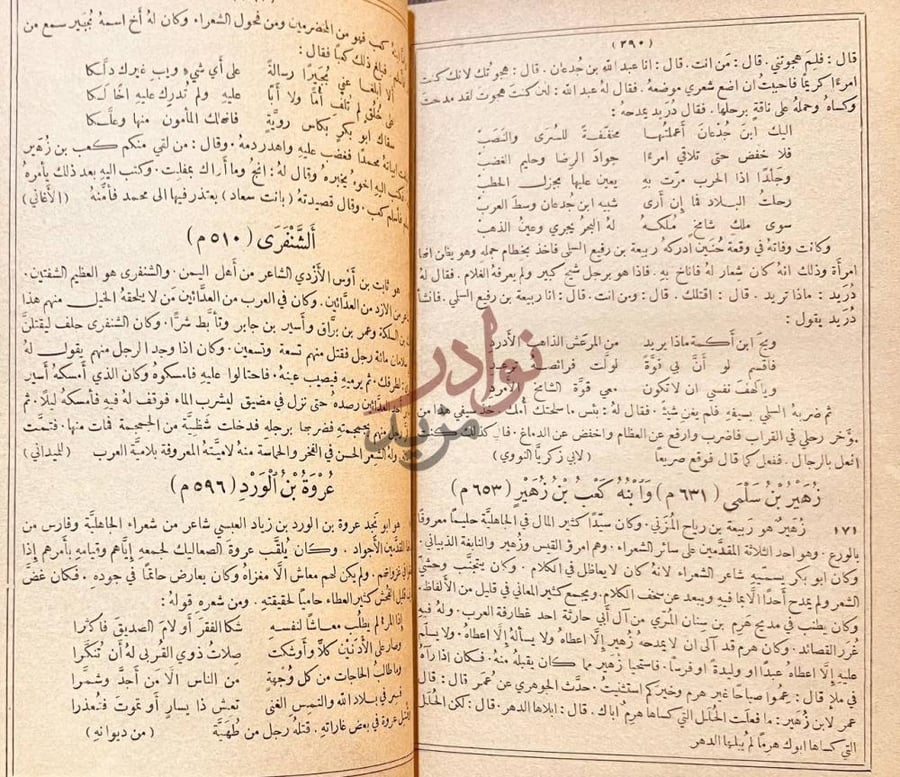صفحة داخلية كتاب مجاني الادب في حدائق العرب
