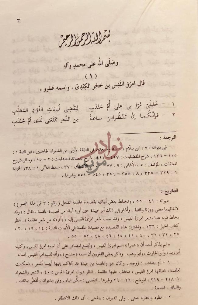 صفحة داخلية كتاب المنتخب في محاسن اشعار العرب