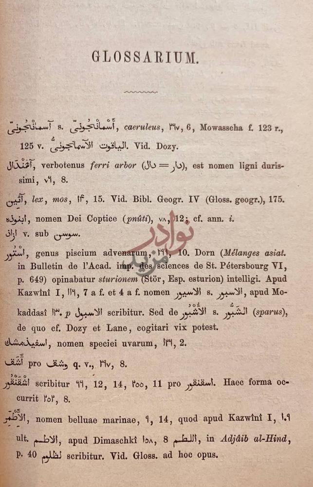 كشاف كتاب مختصر كتاب البلدان
