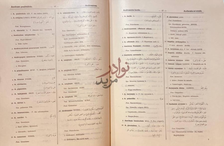 صفحة داخلية كتاب معجم اسماء النبات