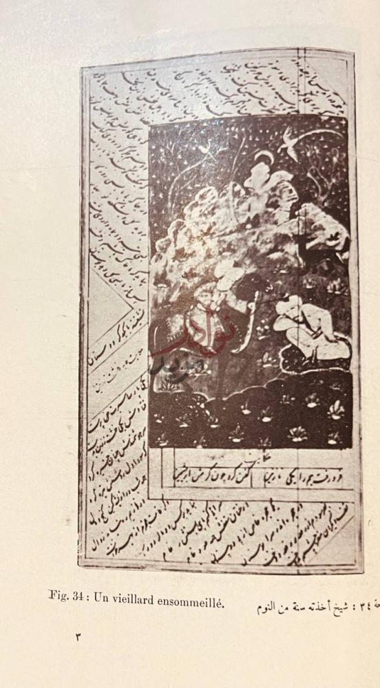 صفحة داخلية كتاب الفهرس الوصفي للمخطوطات الفارسية