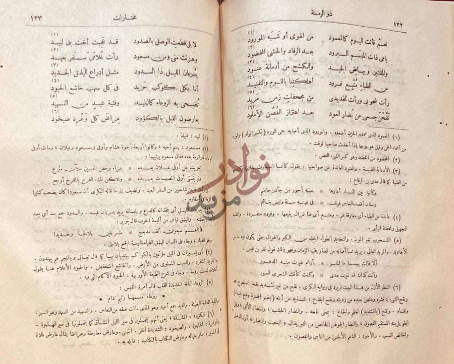 صفحة داخلية كتاب الشوامخ ذو الرمة مختارات