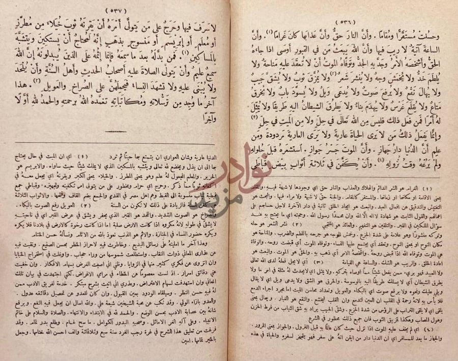 صفحة داخلية كتاب كشف المعاني والبيان عن رسائل بديع الزمان