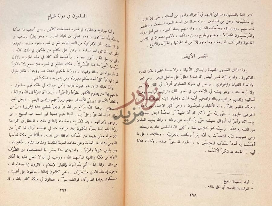 صفحة داخلية كتاب رحلة ابن جبير القصر الأبيض