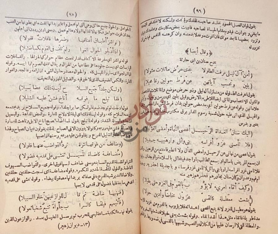 صفحة داخلية كتاب ديوان زهير بن ابى سلمى نص القصيدة وشرحها