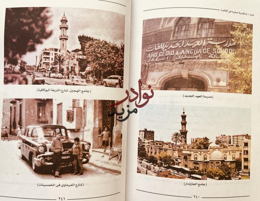 شبرا اسكندرية صغيرة في القاهرة/محمد عفيفي