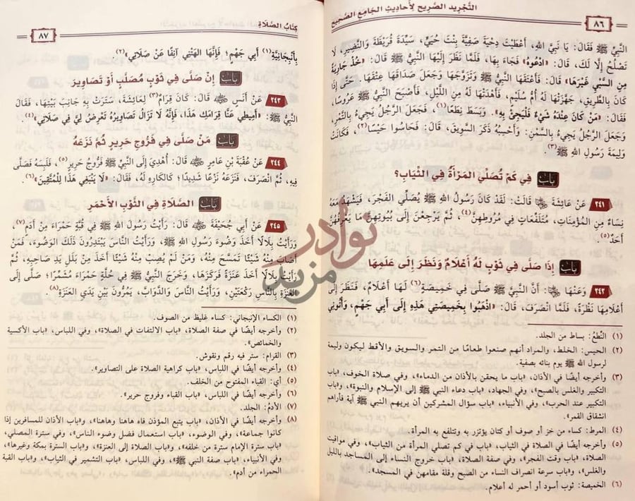 صفحة داخلية كتاب التجريد الصريح لاحاديث الجامع الصحيح