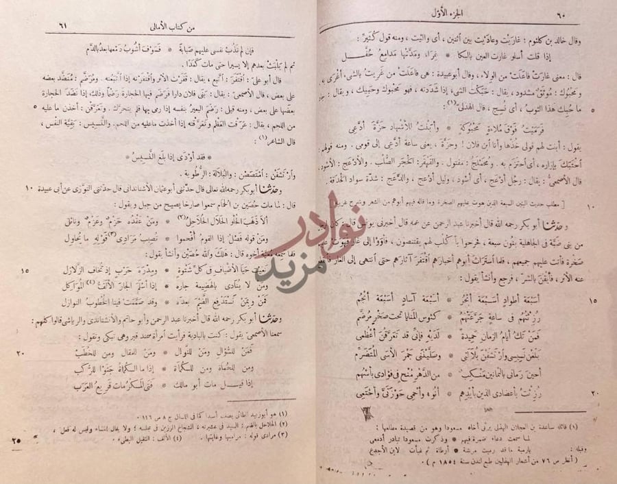 صفحة داخلية كتاب الامالي الجزء الأول