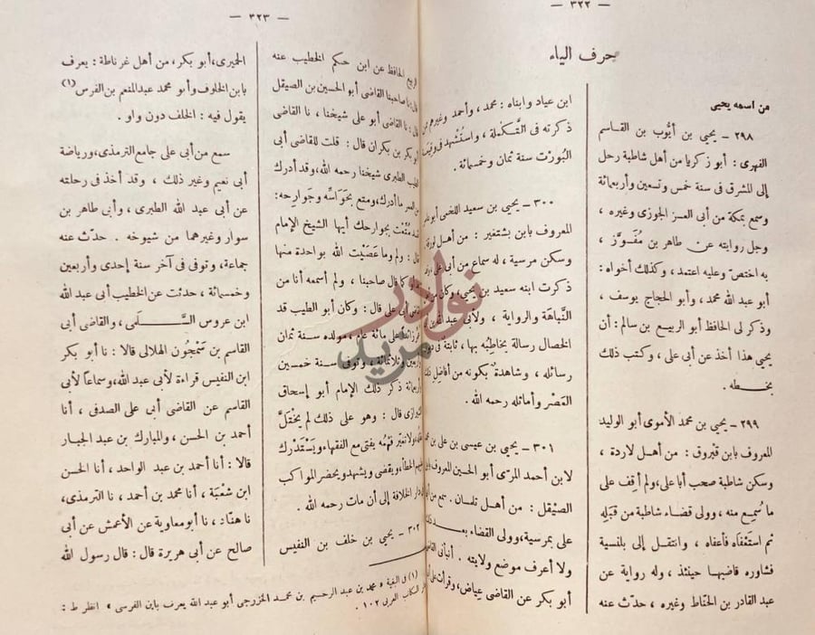 صفحة داخلية كتاب المعجم حرف الياء