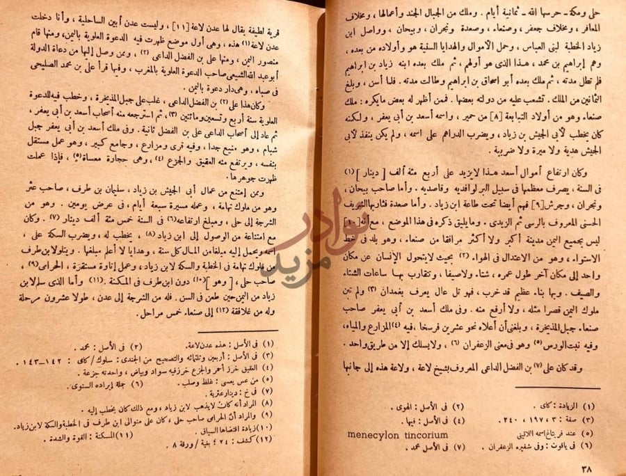 صفحة داخلية كتاب تاريخ اليمن صفحة من متن الكتاب