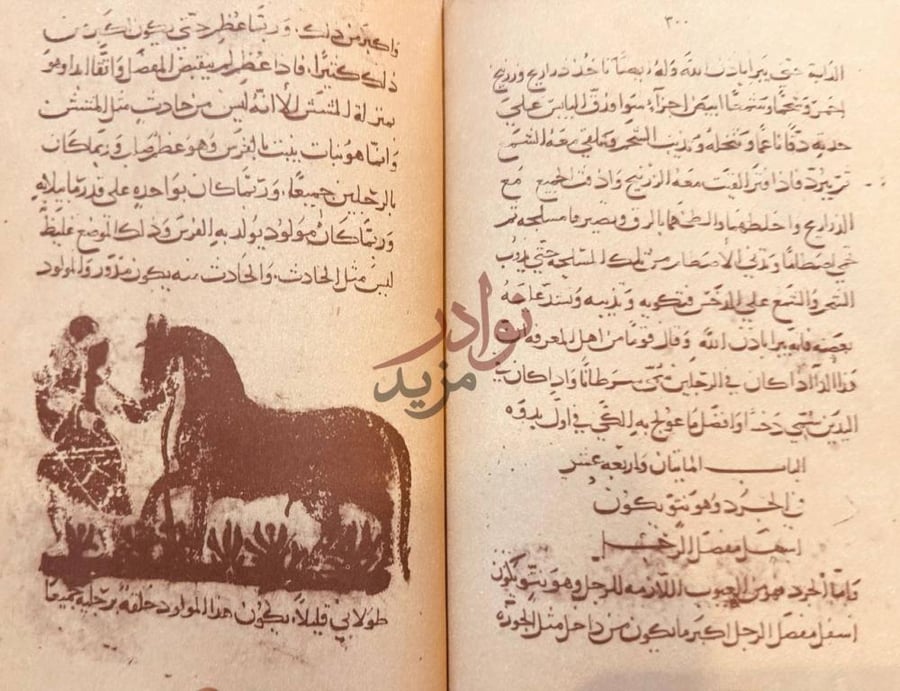 صفحة داخلية كتاب البيطرة الباب الثاني صورة 8