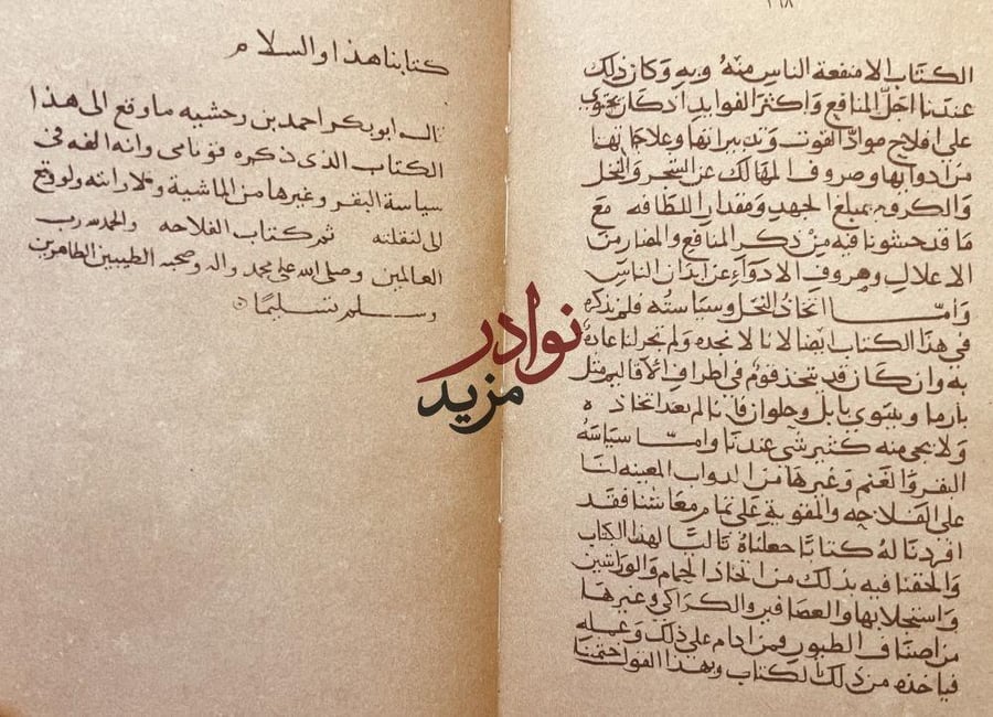 الفلاحة النبطية الجزء السابع/ابن وحشية صورة مخطوط