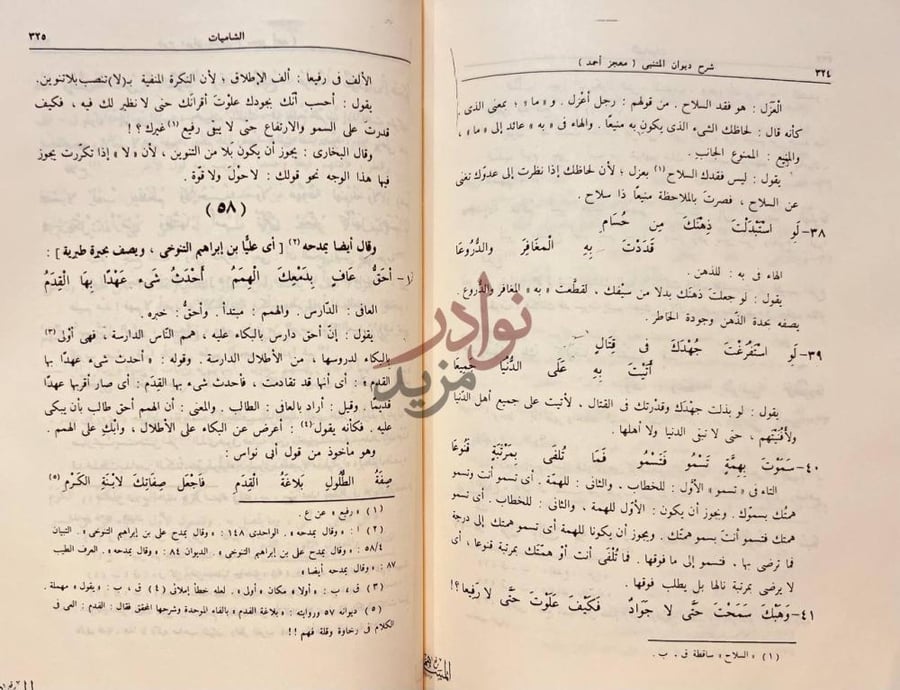 صفحة داخلية كتاب شرح ديوان ابي الطيب المتنبي الشاميات