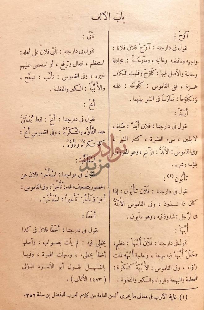 صفحة داخلية كتاب معجم الالفاظ العامية المصرية ذات الاصول