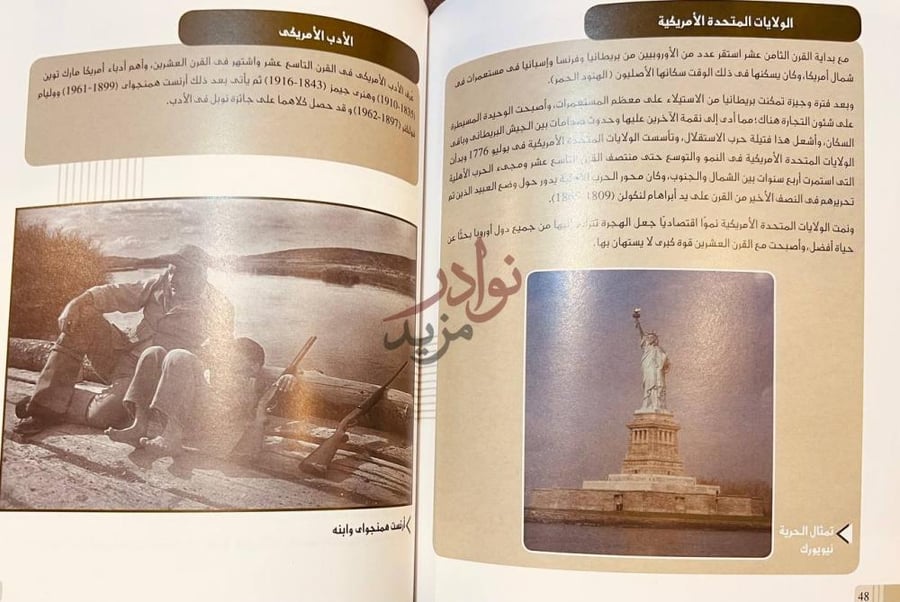 صفحة داخلية كتاب موسوعة تاريخ الافكار الأدب الأمريكي