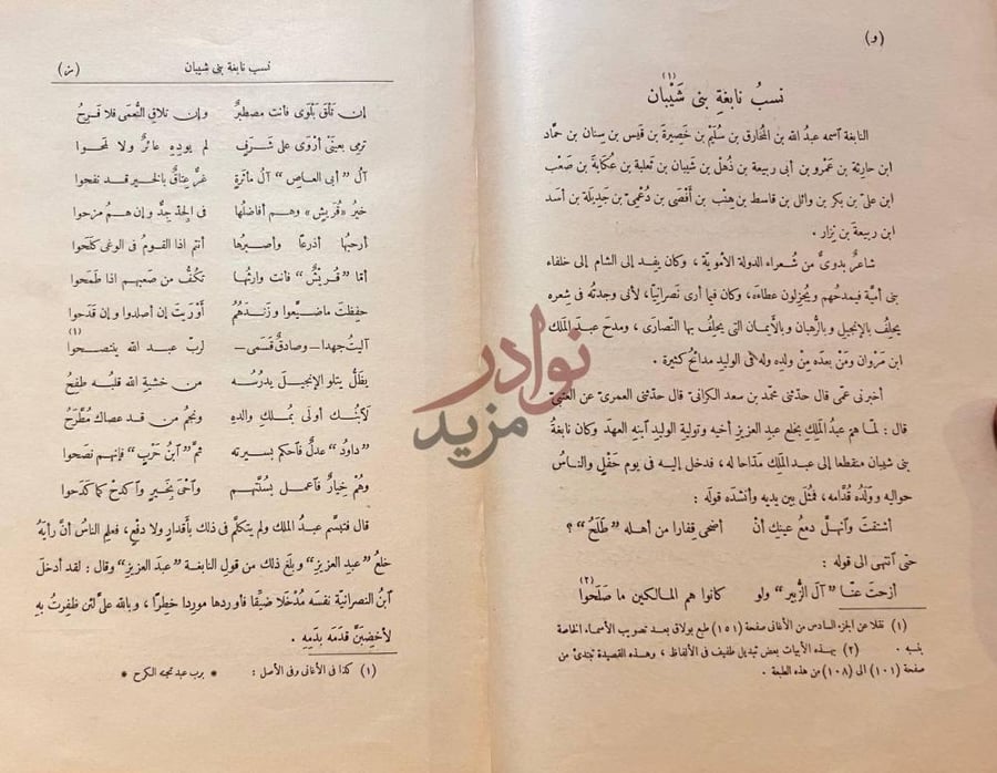 صفحة داخلية كتاب ديوان نابغة بني شيبان نسب نابغة بن شبيب
