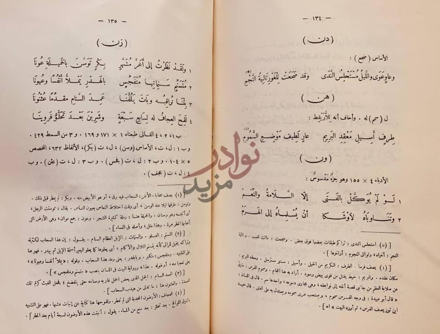 صفحة داخلية كتاب ديوان حميد بن ثور الهلالي وفيه بائية ابي