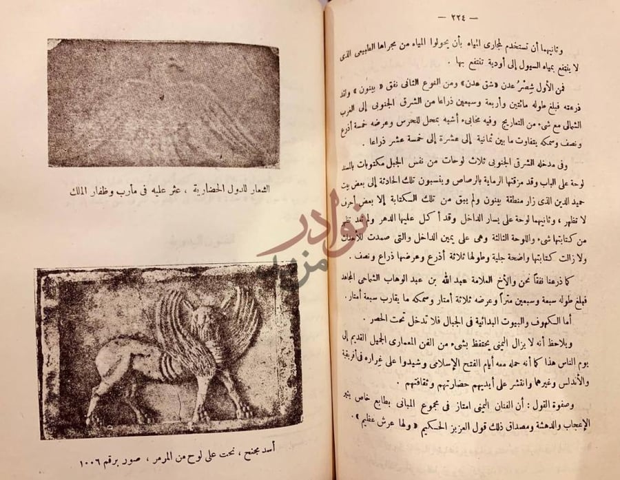 صفحة داخلية كتاب اليمن الخضراء مهد الحضارة الشعار للدول