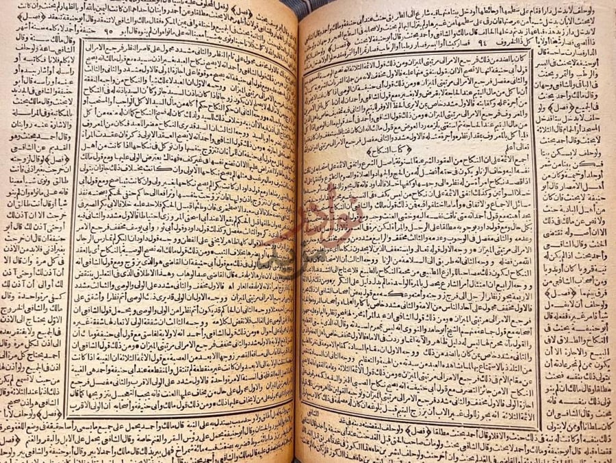 صفحة داخلية كتاب الميزان كتاب النكاح