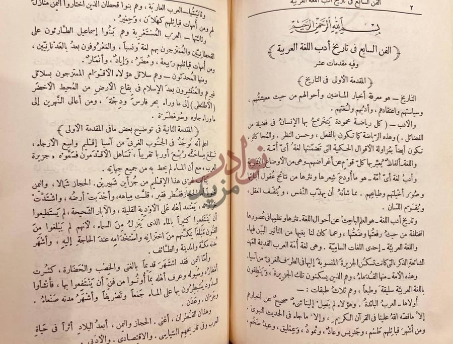 صفحة داخلية كتاب جواهر الادب في ادبيات وانشاء لغة العرب