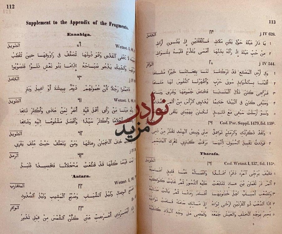 العقد الثمين في دواوين الشعراء الجاهليين طرفة النابغة عنترة زهير امرؤ القيس علقمة