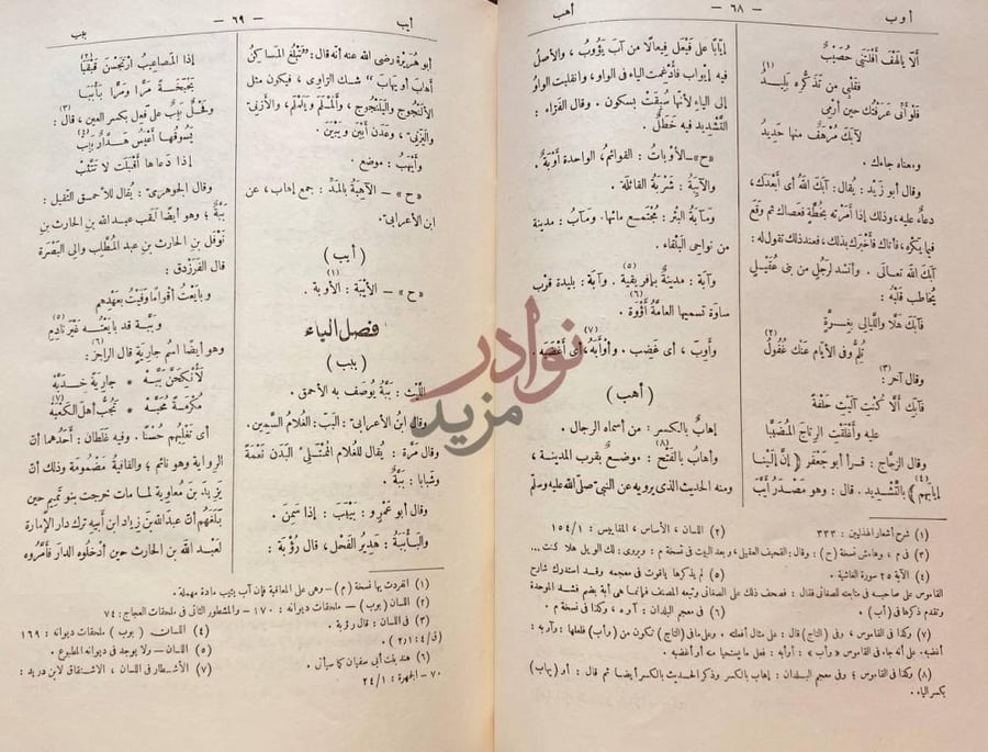 صفحة داخلية كتاب التكملة والذيل والصلة باب الهمزة
