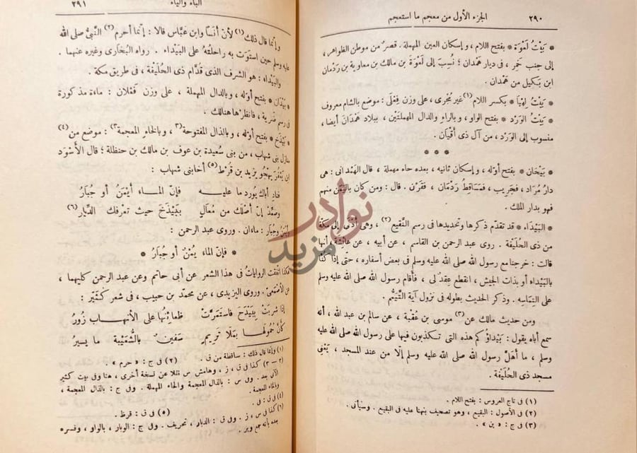 صفحة داخلية كتاب معجم ما استعجم من اسماء البلاد والمواضع