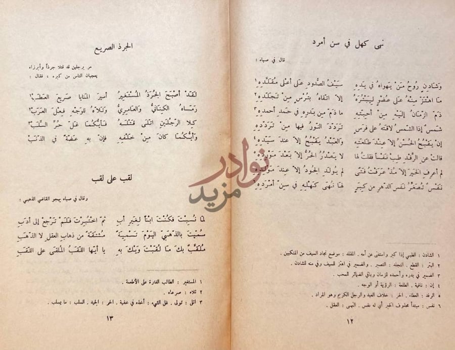 صفحة داخلية كتاب ديوان المتنبي نهى كهل في سن أمرد