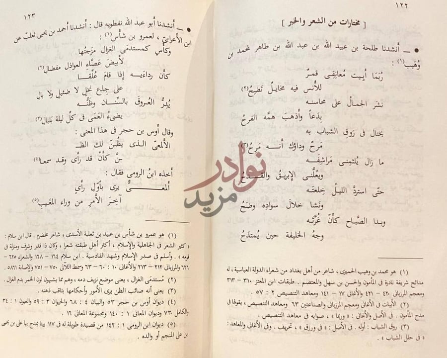 صفحة داخلية كتاب المصون في الادب مختارات من الشعر