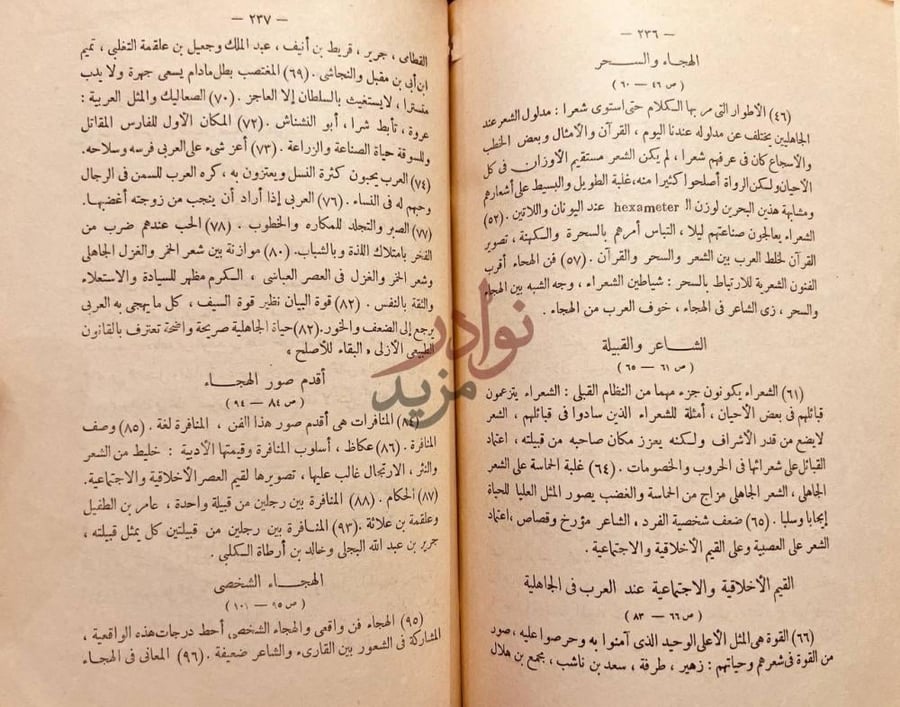 صفحة داخلية كتاب الهجاء والهجاءون في الجاهلية