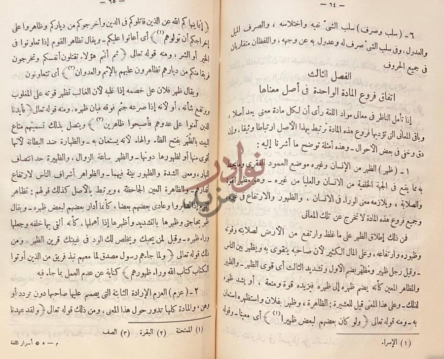 صفحة داخلية كتاب اسرار اللغة العربية والعلاقات بين الالفاظ