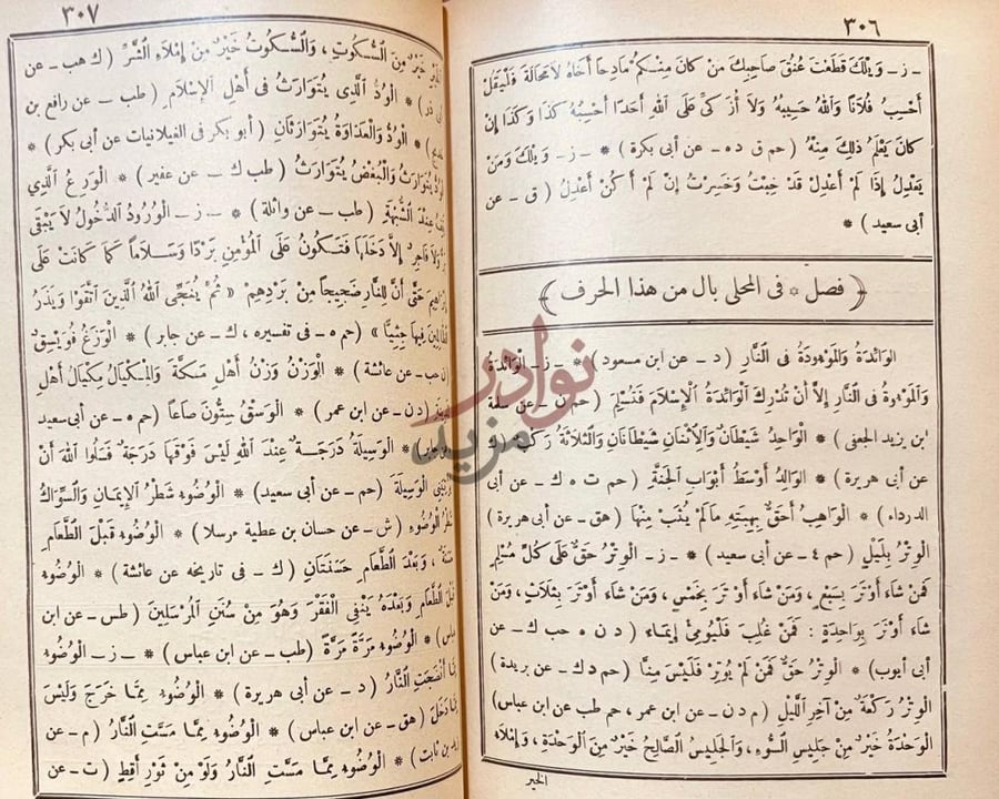 صفحة داخلية كتاب الفتح الكبير في ضم الزيادة الى الجامع الصغير