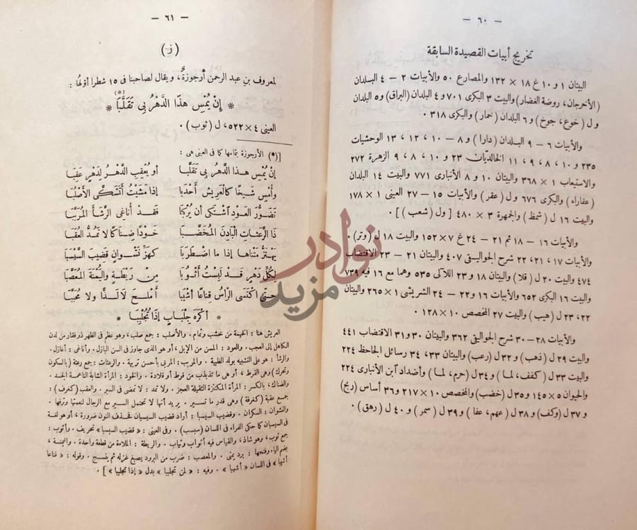 صفحة داخلية كتاب ديوان حميد بن ثور الهلالي