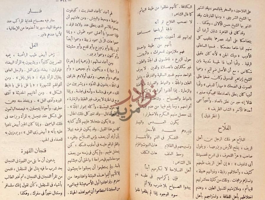 صفحة داخلية كتاب قاموس العادات والتقاليد والتعابير المصرية