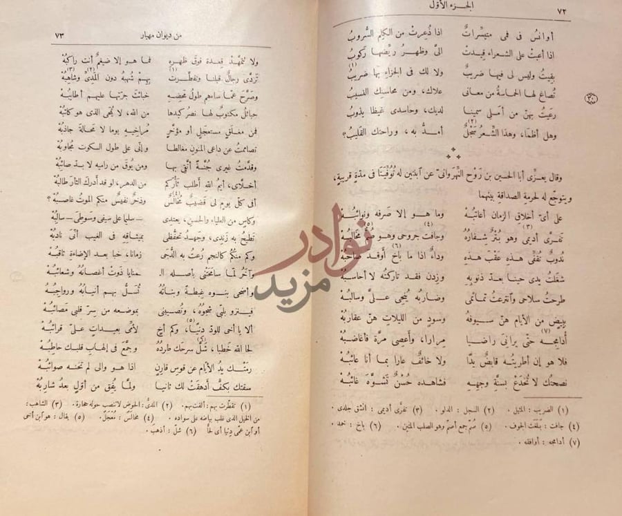 صفحة داخلية كتاب ديوان مهيار الديلمي