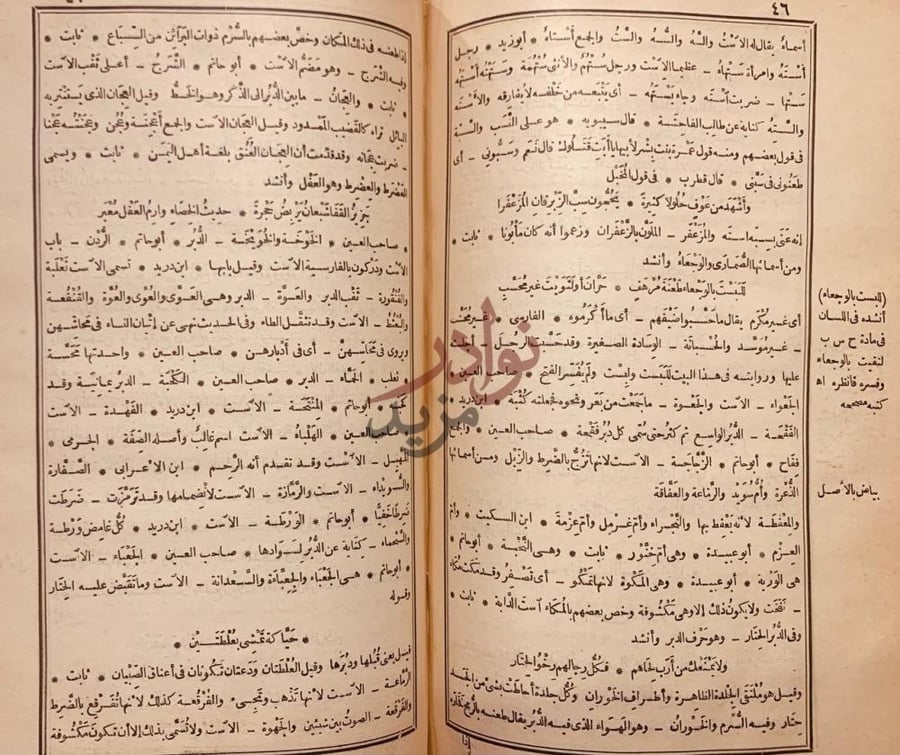 صفحة داخلية كتاب المخصص باب في أسماء الله