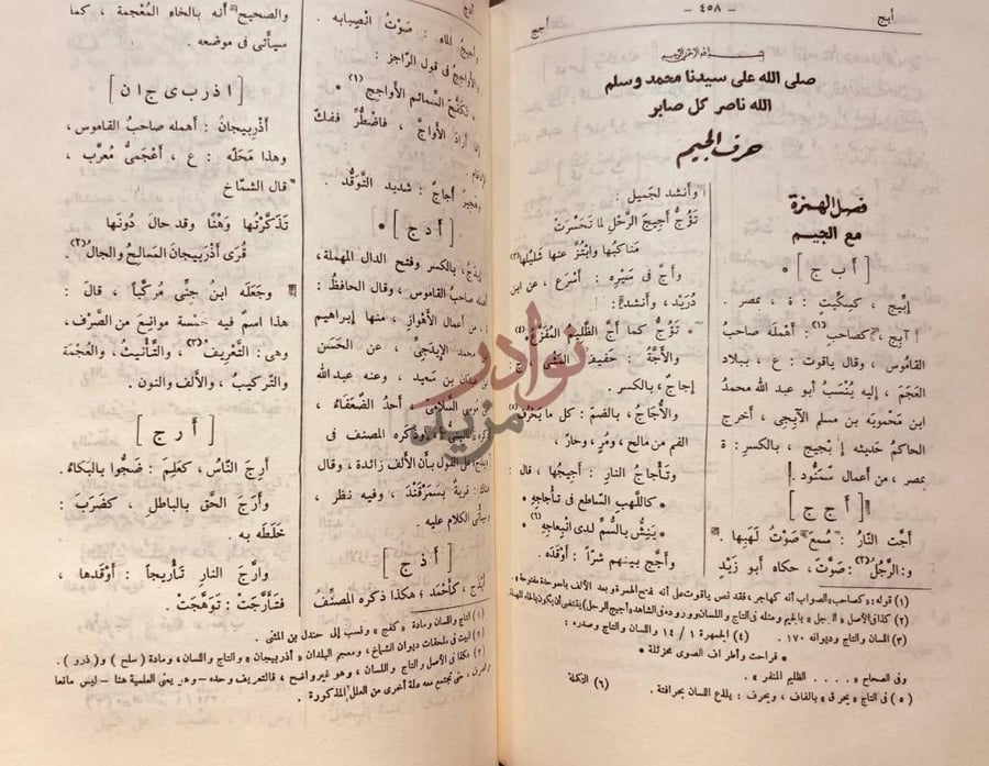 صفحة داخلية كتاب التكملة والذيل والصلة لمافات صاحب القاموس