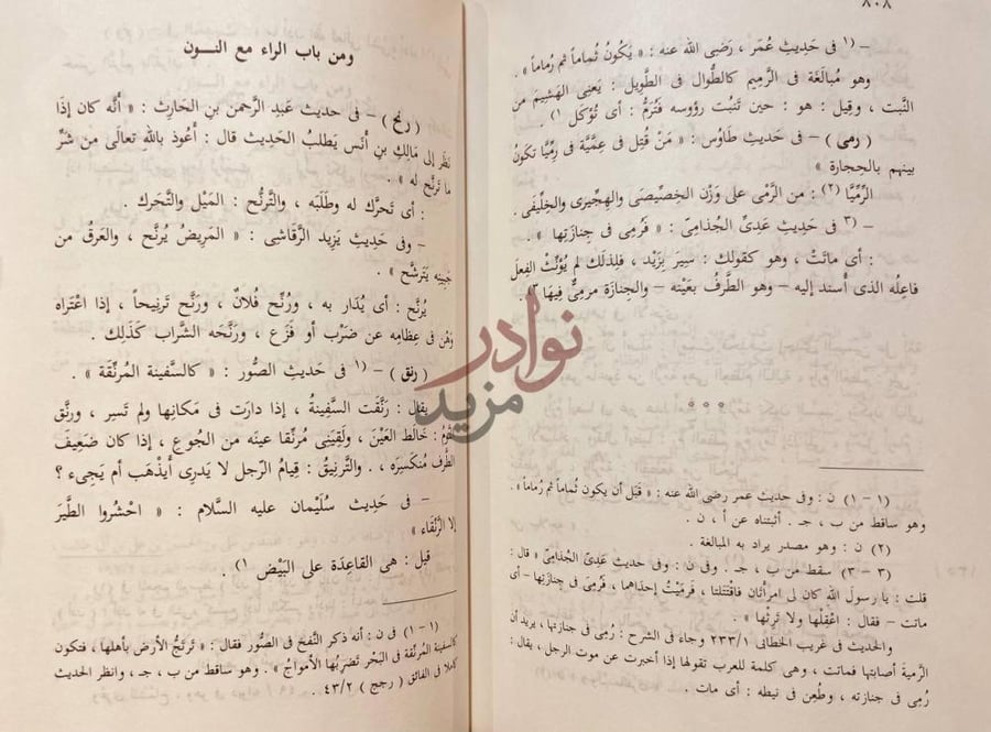 صفحة داخلية كتاب المجموع المغيث في غريبي القران والحديث
