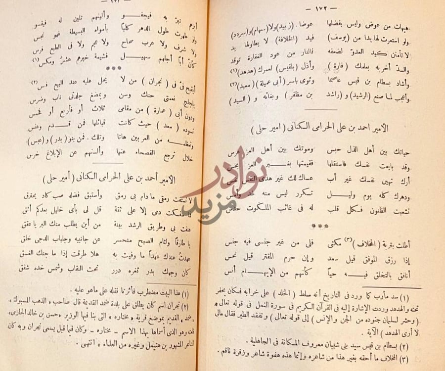 صفحة داخلية كتاب ديوان الشاعر القاسم بن علي بن هتميل دراسة