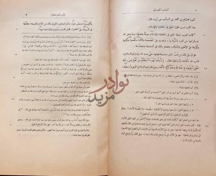 صفحة داخلية كتاب انساب الخيل في الجاهلية والاسلام واخبارها