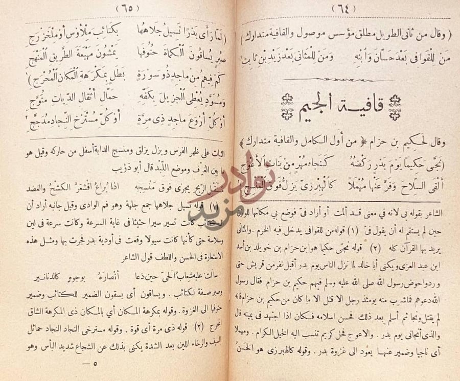 صفحة داخلية كتاب ديوان حسان بن ثابت الانصاري قافية الجيم